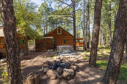 Pinetop Cabin w/huge porch & hot tub House in Pinetop-Lakeside