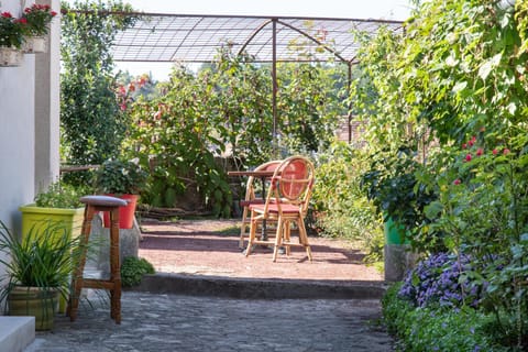 Patio, Garden