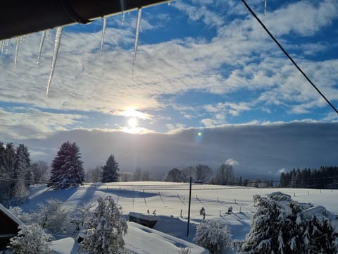 Natural landscape, Winter, Mountain view