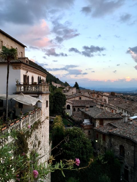 City view, Garden view, Sunset