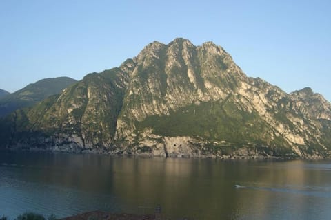 Lake view