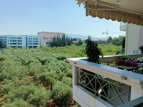 Balcony/Terrace, City view