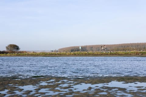 Neighbourhood, Natural landscape