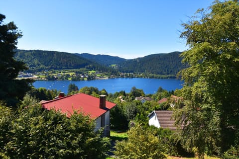 Lake view, Location