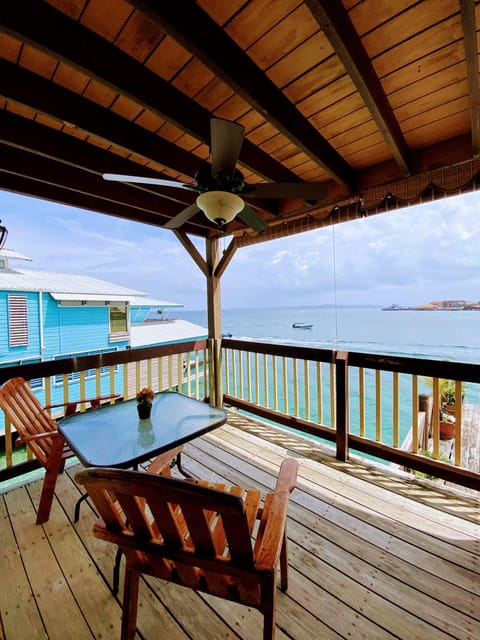 Aqua Lounge Bar & Hostal Ostello in Bocas del Toro Province