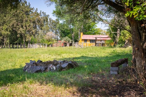 Chacra La Mondiola del Este Country House in Canelones Department, Uruguay