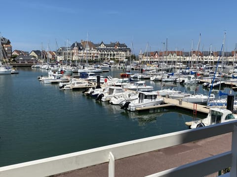 Bel Appartement Duplex 4 pièces avec Vue sur Port et Terrasse - FR-1-487-314 Apartment in Cabourg