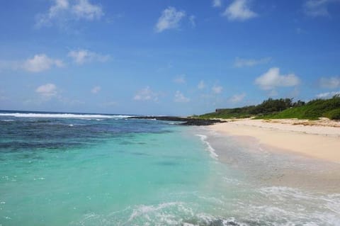 Eastern Blue Beachfront Luxury Apartment Apartment in Flacq District, Mauritius