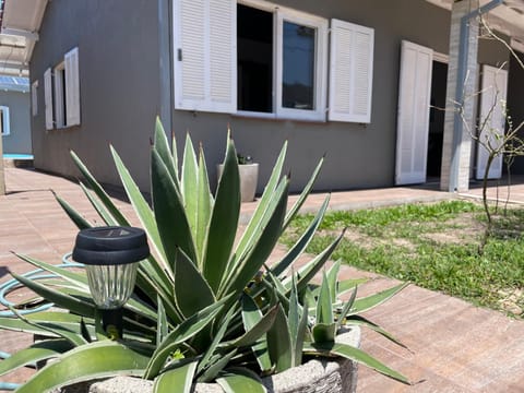 Property building, Spring, Day, Garden