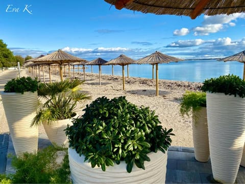 Villa ISLAND VIR with pool Villa in Zadar County