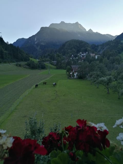 Natural landscape, Mountain view