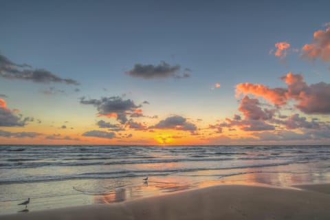 Marlin Street Tomehome A Apartment in South Padre Island