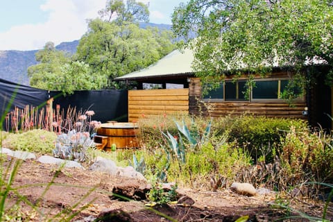 Patio, Natural landscape, Garden, Inner courtyard view