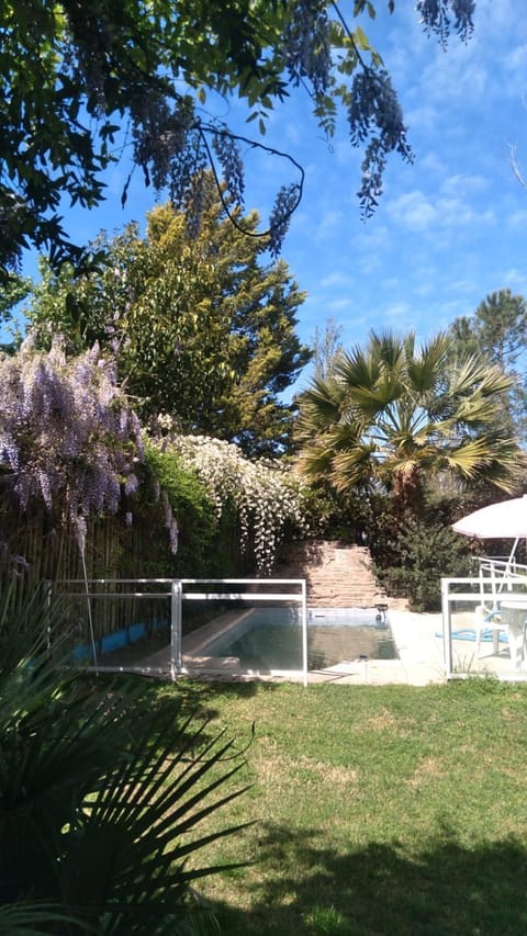 Garden, Swimming pool