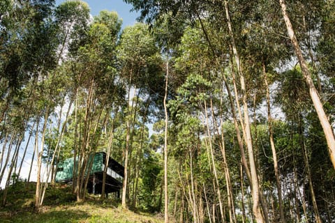 Garden, Solarium, Hiking