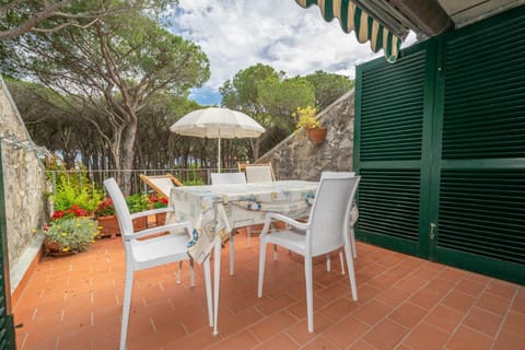 Balcony/Terrace, Balcony/Terrace