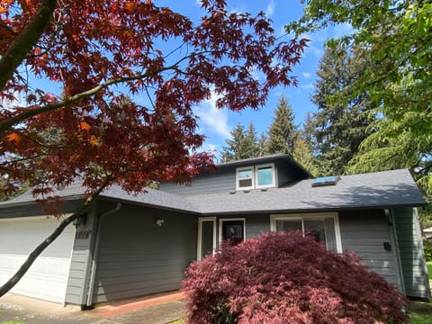 Property building, Spring, Garden view