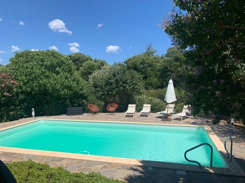 Garden, Garden view, Swimming pool, sunbed