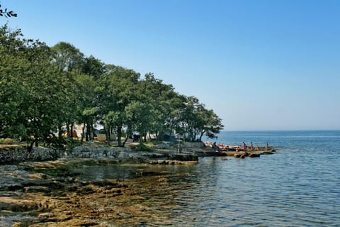 Natural landscape, Beach