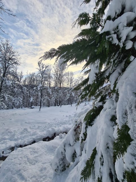 Natural landscape, Winter