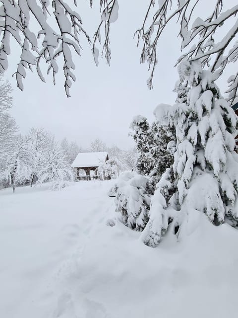 Natural landscape, Winter