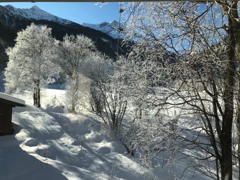 Natural landscape, Winter
