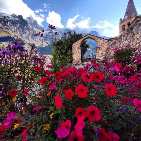 Esprit de la Meije - Chalet overlooking the Meije Chalet in La Grave