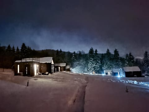 Property building, Night, Natural landscape, Winter