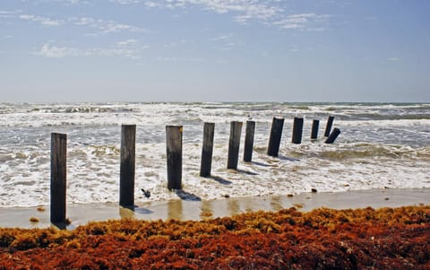 Leeward Manor House in North Padre Island