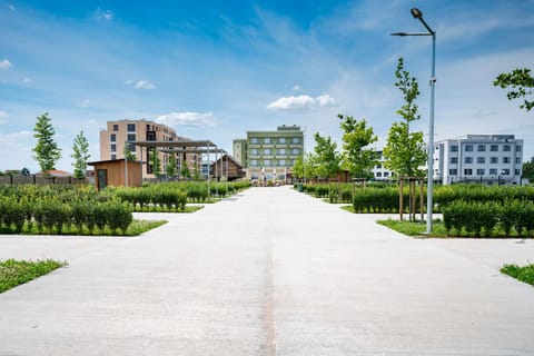 Property building, Day, Garden, Garden view