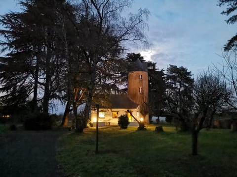 Property building, Winter, Garden