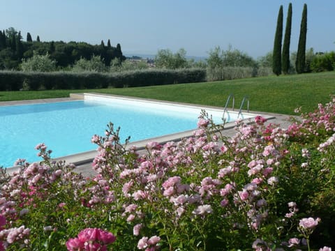 Garden, Swimming pool, Swimming pool