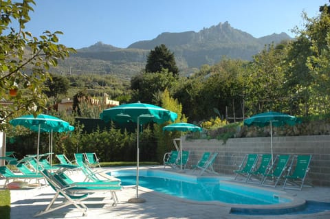 Day, Garden view, Pool view, Swimming pool, Swimming pool