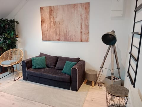 Pounette, appartement T2, centre thermes Luxeuil Apartment in Vosges