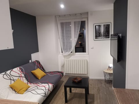 Studio cosy au pied du METRO FLACHET Apartment in Villeurbanne
