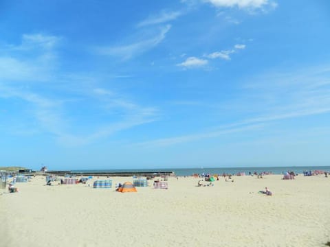 Fishing, Beach