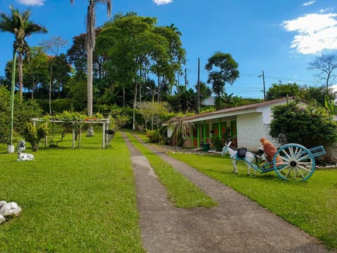 Natural landscape, View (from property/room)