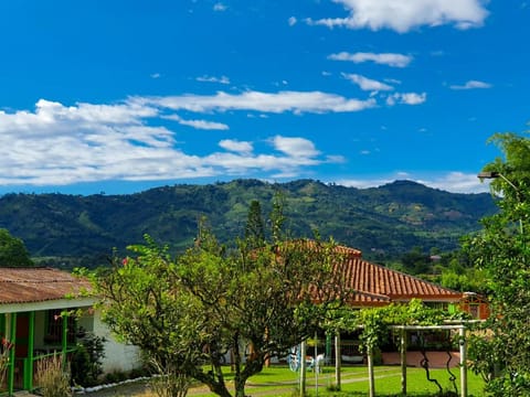 Natural landscape, Garden, View (from property/room)