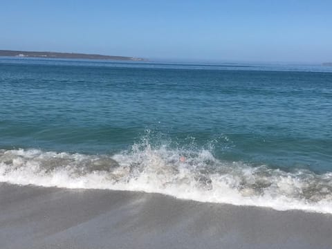 Natural landscape, Beach