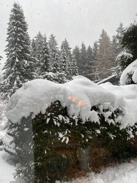 Schönwald Waldchalet am Musenberg House in Willingen