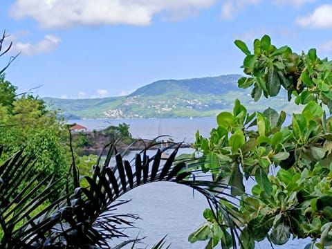 Natural landscape, Mountain view, Sea view