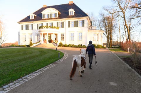 Property building, Horse-riding