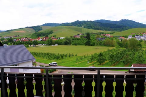 Ferienwohnungen Schneider Condo in Offenburg