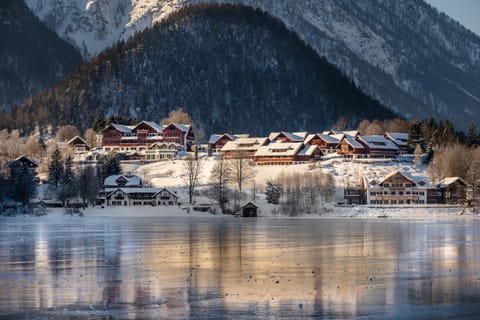 Property building, Natural landscape, Winter