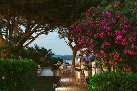 Garden, Sea view