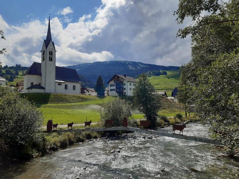 Mountain view, River view