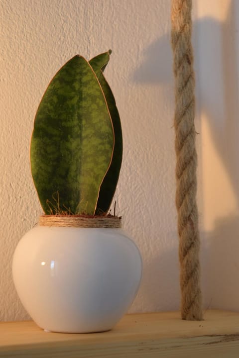 Eight senses Apartment hotel in Paros