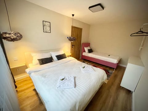 Best place to stay-Self check in-24h Apartment in Timiș County