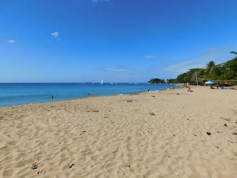 Nearby landmark, Natural landscape, Beach