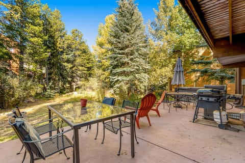 Meadow Lodge - Dog Friendly! House in Frisco